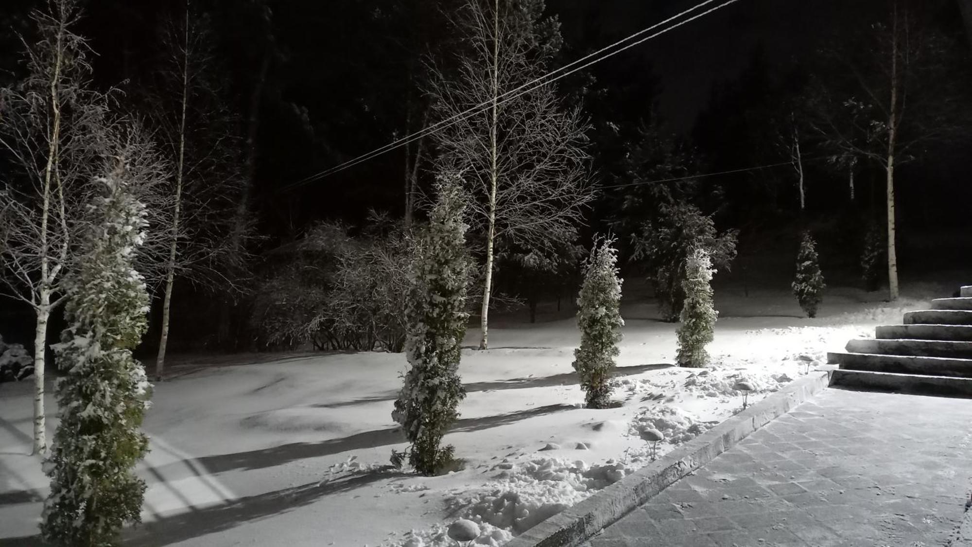 Garden * Tsaghkadzor